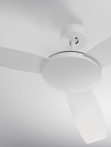 513bbd791f58fb78179c357ab3b215ed