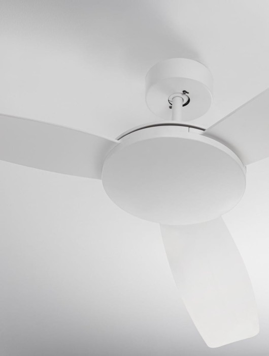 513bbd791f58fb78179c357ab3b215ed