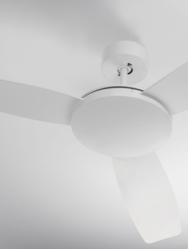 513bbd791f58fb78179c357ab3b215ed