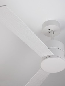 216f02daee6ee72892a216b2537a7e11