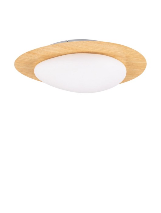 90ff90210faa14e21ebb44b18ba00565