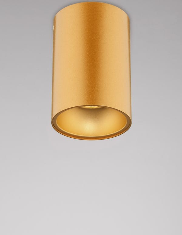 3feaddd39bddaf04d8b6e290bba6e7ed