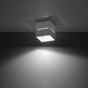 1f1e80078f479707c16a3230883b19f8