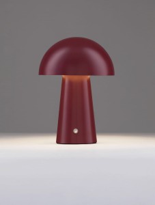 9a6f899496f73f81fc4002f526ab59e4