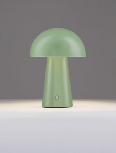 2a7fc4d3274c5938d8dc95a33376c4b0