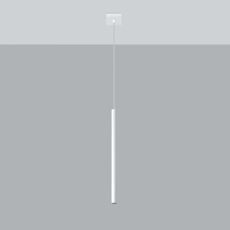 49d5a717619fccd5006ad75a5006870b