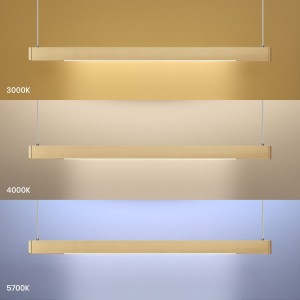 403fc9404ae4ebb2d7f6afdeaed72069