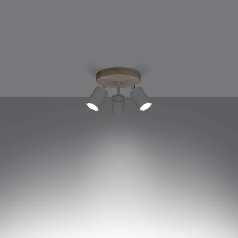 30084ef537106ef039d306fc2e44aef9