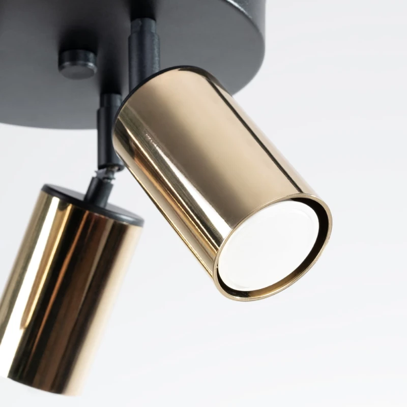 29a04541e52f34d0192b4ab5b0a209ec