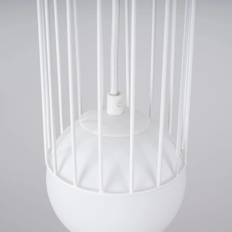 5d0ea80a06b2a56bfada8cd1b56fa803