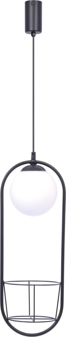 5003 PLANT 1 PENDANT LAMP