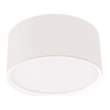 Lampa sufitowa Kendal oprawa natynkowa 1xLED biała IP65 LP-6331/1C IP54 WH