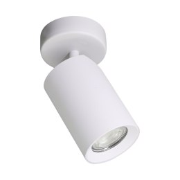 TLS006-WH TORE LAMPA SUFITOWA BIAŁA/WHITE