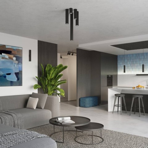 Lampa wisząca KARBON 2 czarny Lampa wisząca KARBON 2 czarny