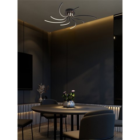 2200012-BK DIOGO LAMPA SUFITOWA CZARNA/BLACK 2200012-BK DIOGO LAMPA SUFITOWA CZARNA/BLACK