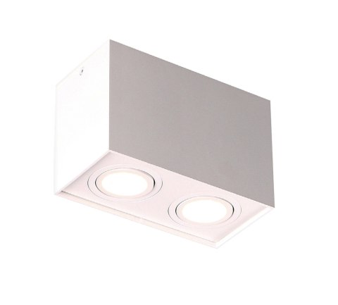 MAXLIGHT C0088 LAMPA SUFITOWA BASIC SQUARE BIAŁA PODWÓJNA MAXLIGHT C0088 LAMPA SUFITOWA BASIC SQUARE BIAŁA PODWÓJNA