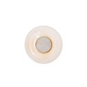 MAXLIGHT W0378 KINKIET SIGNATURE 22CM KLOSZ TRANSPARENTNY