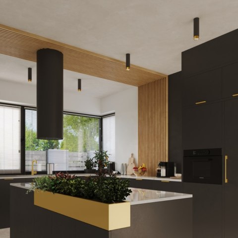 Plafon NERO 12,5 czarny/złoty