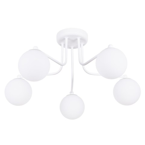 Żyrandol ASTRAL 5 biały