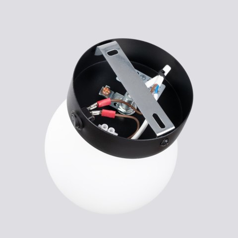 Kinkiet YOLI 1 czarny Kinkiet YOLI 1 czarny