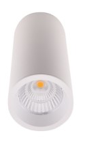 MAXLIGHT C0153 LAMPA SUFITOWA LONG BIAŁY 7W